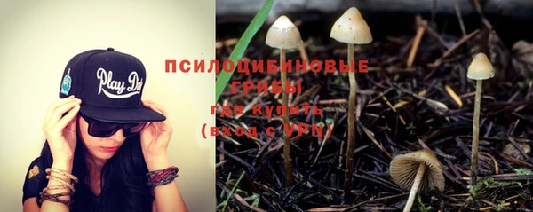 MESCALINE Баксан