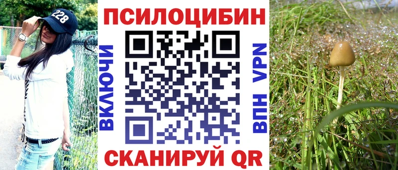 ОМГ ОМГ tor  Невель  Галлюциногенные грибы Psilocybe  купить  