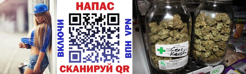 Бошки Шишки сатива  Невель 